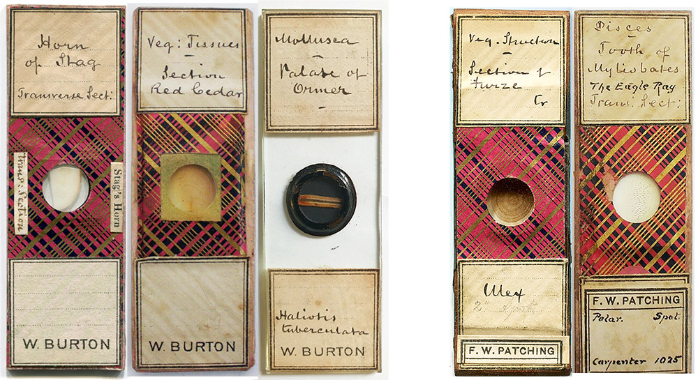 W. Burton and F.W. Patching