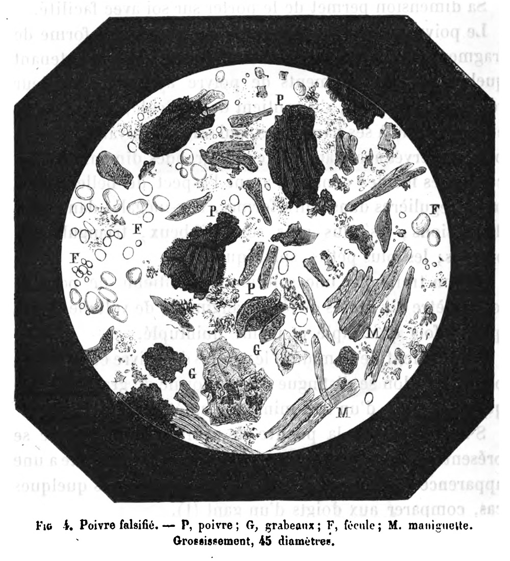 Chevallier Microscope Portatif